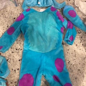 Sully Monster's Inc. costume
